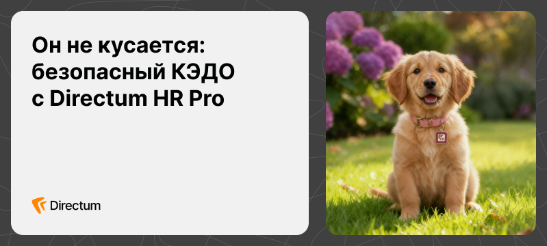 Защита кадровых документов: как избежать утечек и финансовых рисков