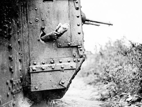 Британский танк с отверстием для голубиной почты. Снимок 1918 года.